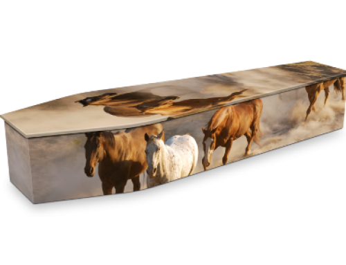 Wild Horses Coffin